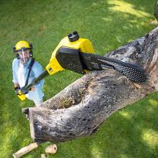 Best Arborist Consultation Services  in Markesan, WI
