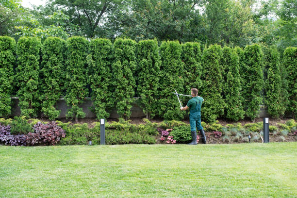Best Commercial Tree Services  in Markesan, WI