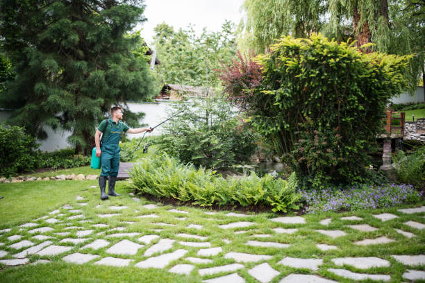Professional Tree Services in Markesan, WI