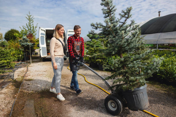 Best Tree and Shrub Care  in Markesan, WI
